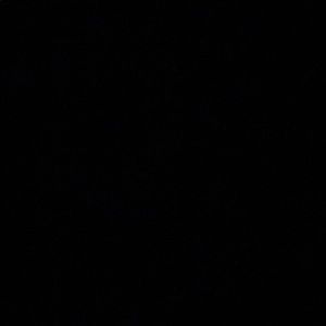 Meet your Posher, Destiny